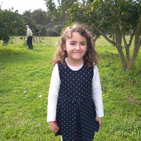 Agroturismo Sa Vall Son Macia  Exterior photo